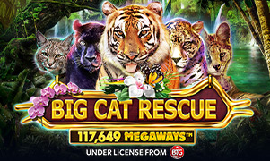 f168betvn Big Cat Rescue Megaways